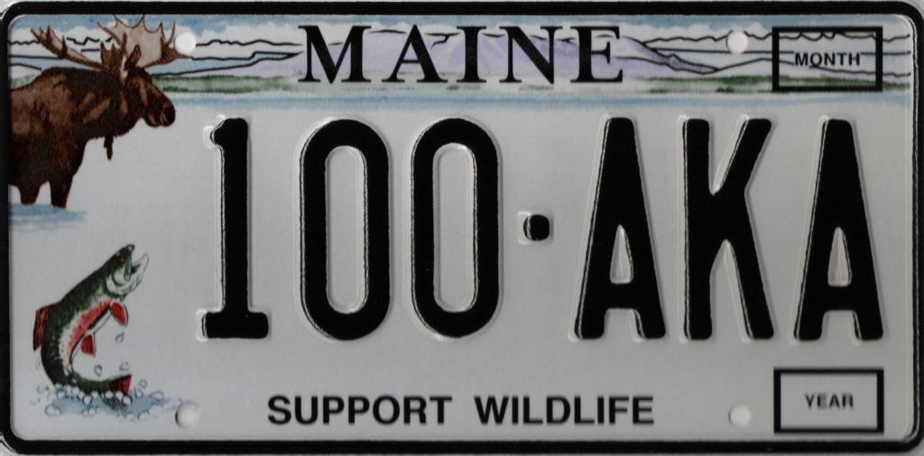 Maine license plate lookup
